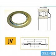 NILOS 6013ZJV-NILOS-Ring
