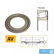 NILOS 6009ZJV-NILOS-Ring